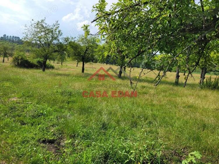 Teren intravilan in Campina, 1490mp--26.820e - 7