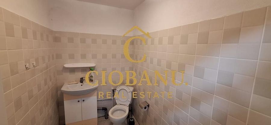 Hala de vanzare in Racarii de Jos - 7