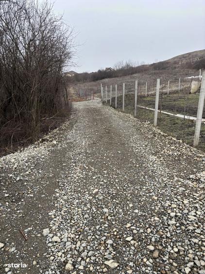 Teren intravilan Borhanci/ zona Gardenia - 2