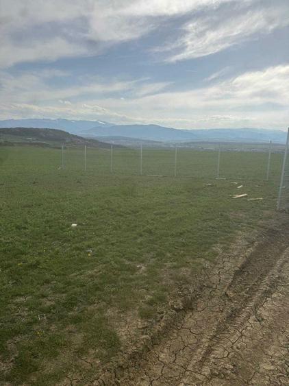 PROPRIETAR Teren langa satul Bungard - 2