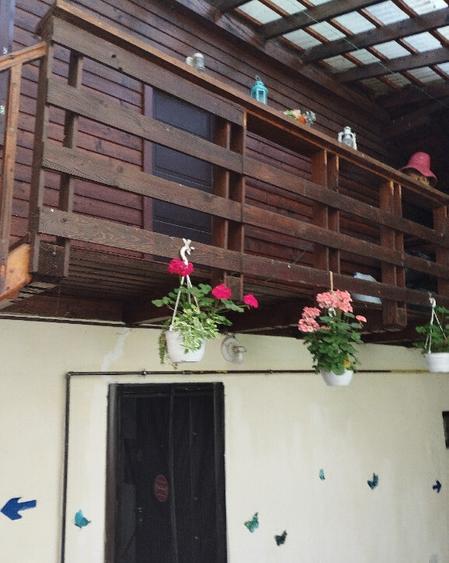 Vila Moieciu intre mun?ii Bucegi ?i Piatra Craiului - De v. sau schimb - 2