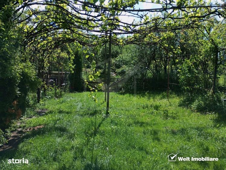 Casa cu teren 3320mp sat Dumbrava Capusu Mare - 1