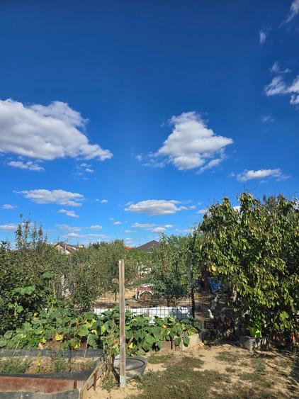 Parta- casa parter-719 mp - 7