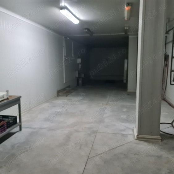 Vand hale frig (1200 mp)+teren intravilan 6400 mp (3000 curte betonata) in Carani (intre TM si AR ) - 6