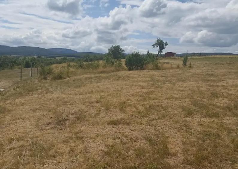 De vanzare teren extravilan in Valea Crisului - 5