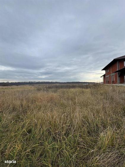 Teren intravilan Sanmartin 720 mp - 1