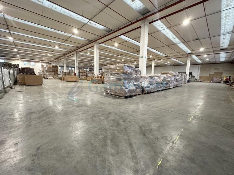 Hala pentru depozitare cu 2 rampe, Parcul Industrial Bors,Bihor - 2