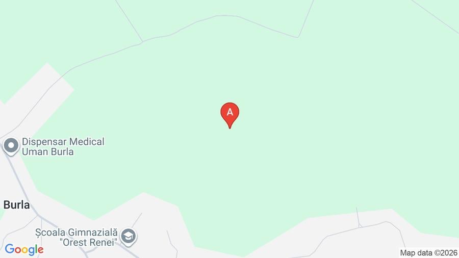 Vand teren extravilan in Burla - 1