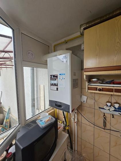 Magurele/Darasti-Ilfov/Vila individula cu crama,garaj,foisor,livada si solar - 13