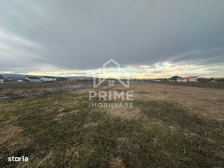 Teren Intravilan 615mp| DISPONIBILE 12 PARCELE| zona Partos - 1