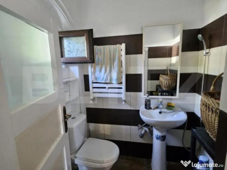 Casa individuala de vanzare in exclusivitate Tomsani - 2