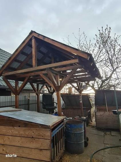 Vand vie cu anexe construite - 7