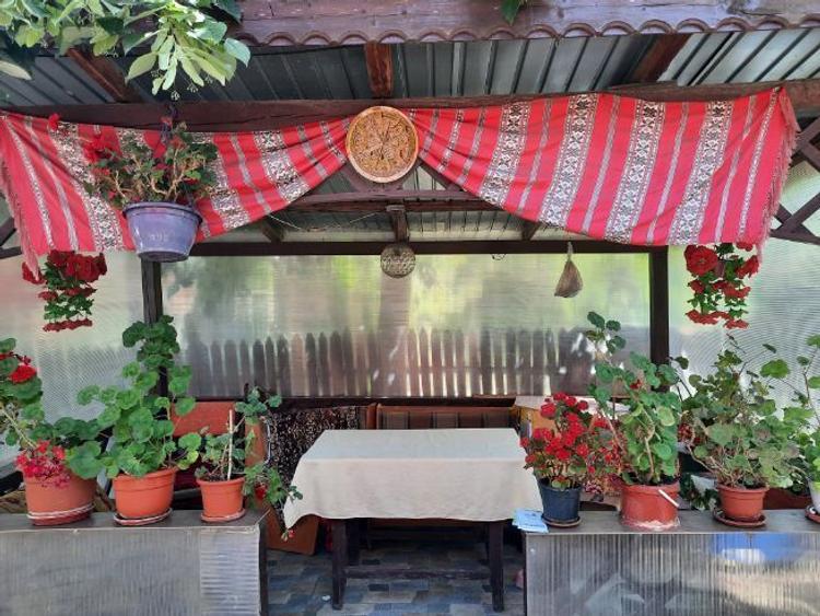 Vând casă  / curte  - 5