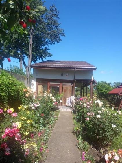 Bacau ,  Vila, la 5 minute de Centrul Orasului - 12