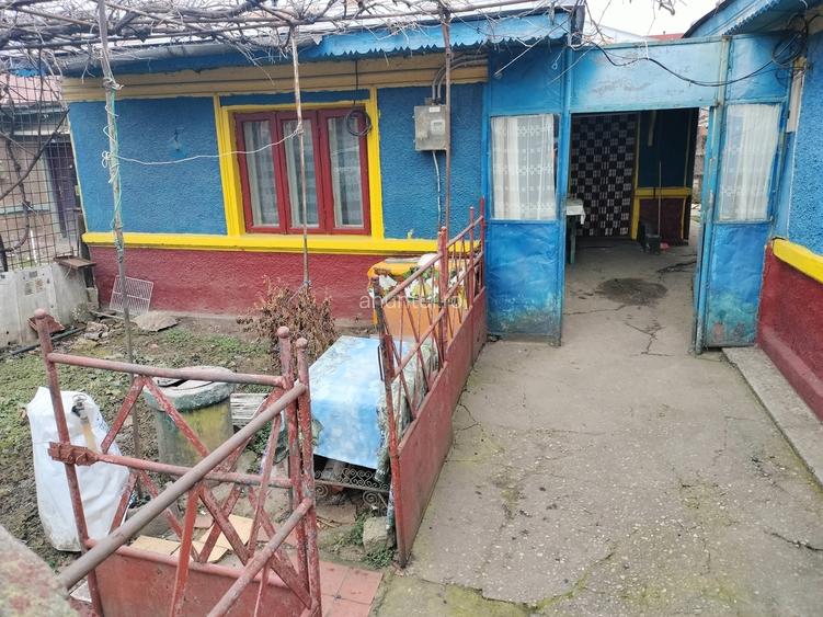 Perinita 28, Bucuresti