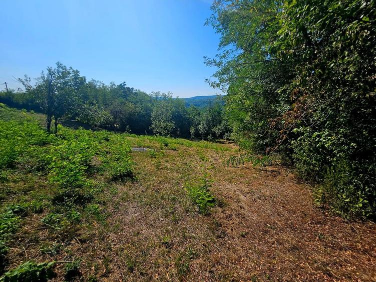 Teren intravilan 2322 mp, Păcuri – vedere superbă spre pădure! - 5