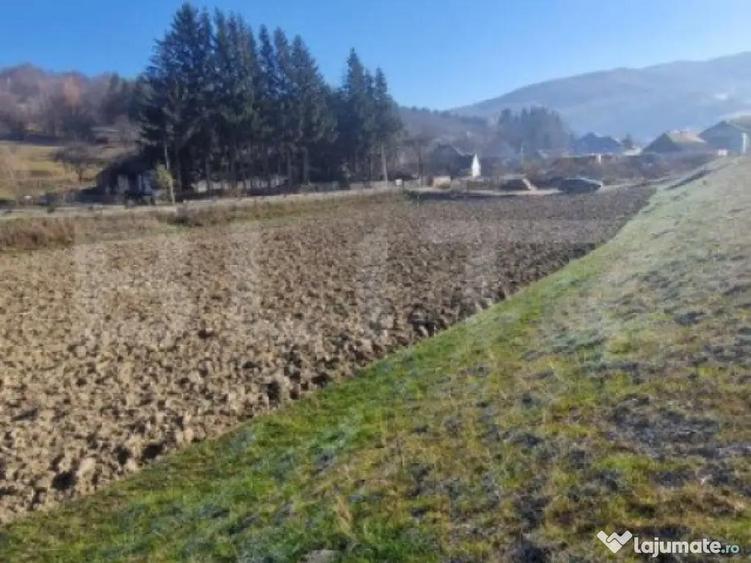 Teren extravilan - Sita Buzaului -6800 mp posibilitate trece - 3