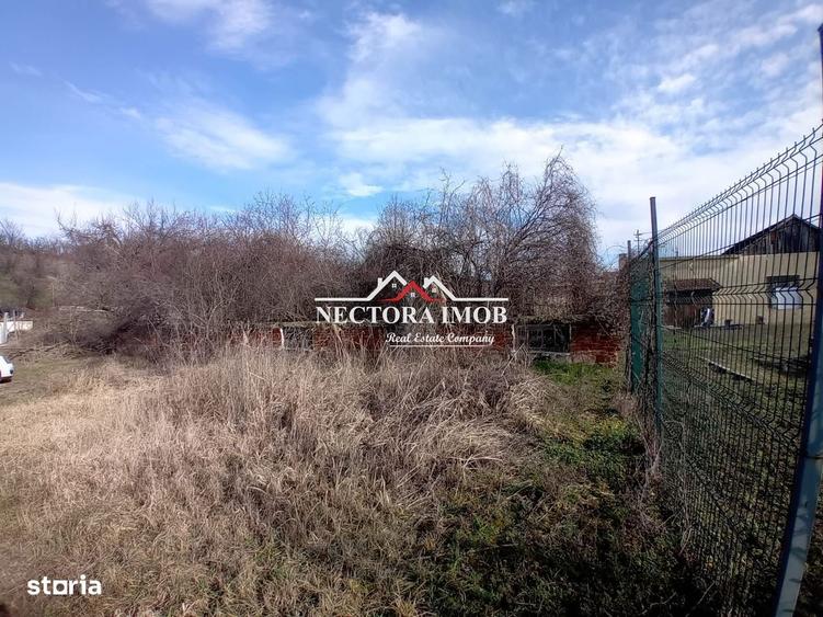 NECTORA IMOB-Teren Intravilan Zona Facliei, Teren Plat,460 mp,F:29 ml - 3