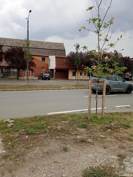 spatiu comercial linga pia?a mehala - 1