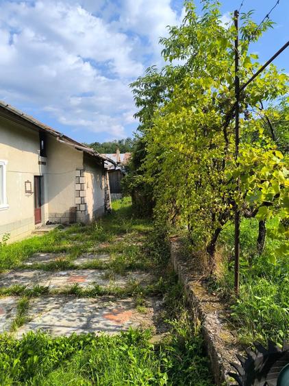 Casa spatioasa 8 camere+cladire auxiliara pretabil locuinta sau afacere+magazin - 8