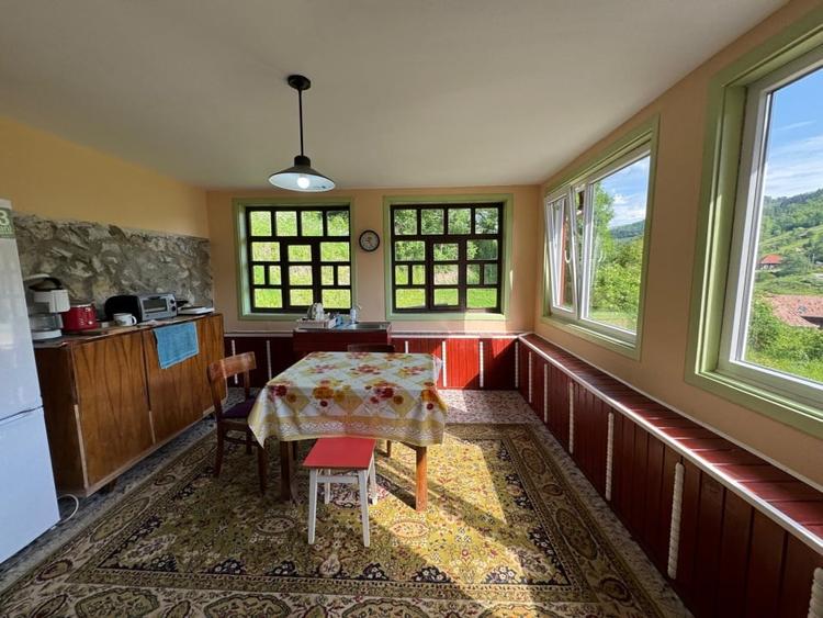 Casa de vanzare, 5 cam., 200 mp. + 5000 mp. teren, Valea Ariesului - 14