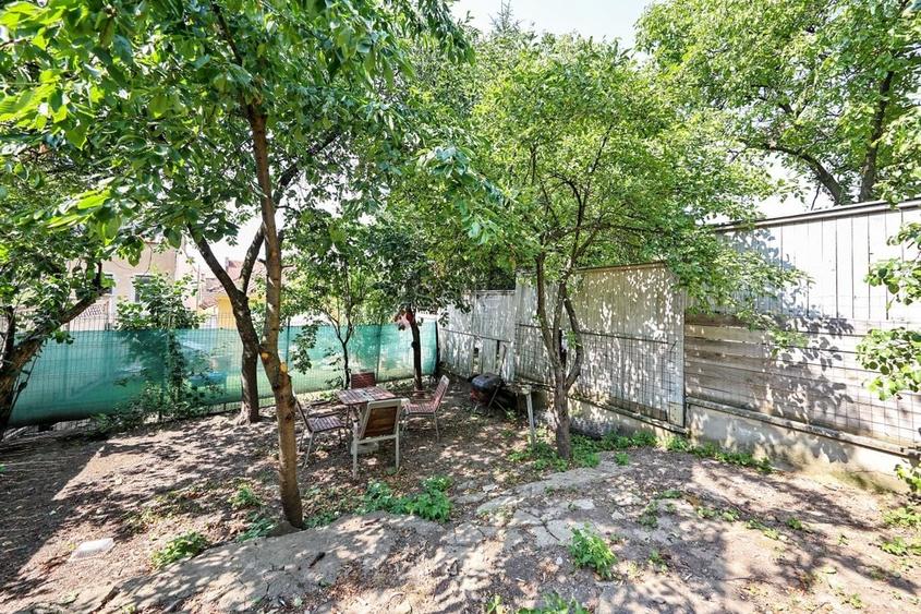 Zona Centrala Structura Generoasa - 37