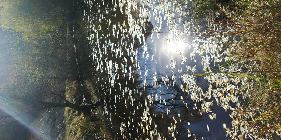 Vand Casa si teren in Maramures - 10