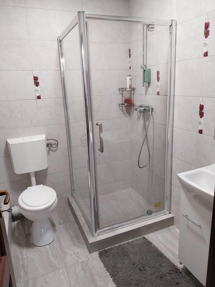 Schimb cu Apartament Vila P+1+M ,3 camere, 2 bai, Crângași - 7