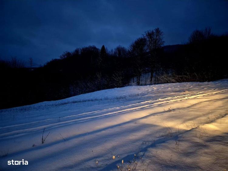 Teren 5000 mp extravilan Sinca Noua - 5