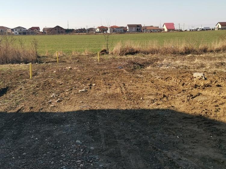 Teren in Dumbravita 110000 euro - 3