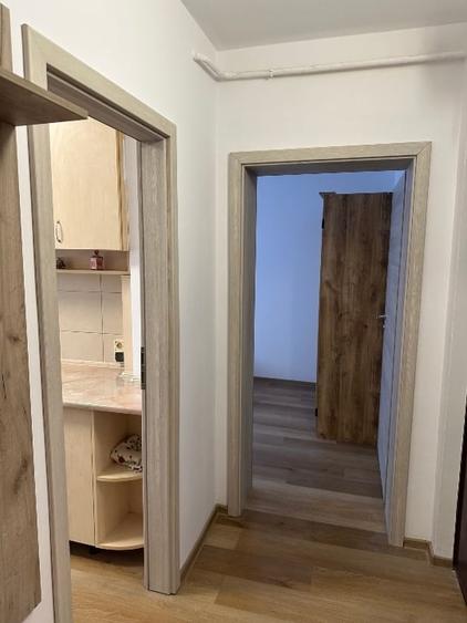 Apartament 3 camere , recent renovat si mobilat Podu Rosu - 10