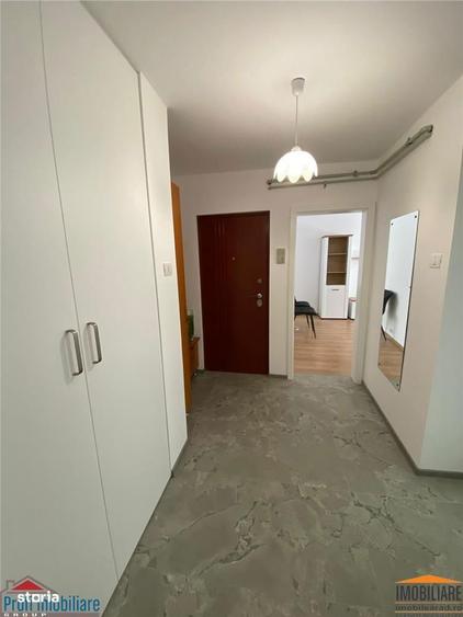 Apartament de inchiriat 2 camere Podgoria-Malul Muresului - 18