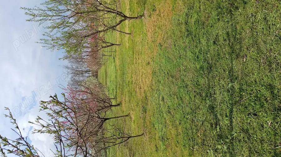 Vand casa la ?ara in Gepiu Bihor - 10