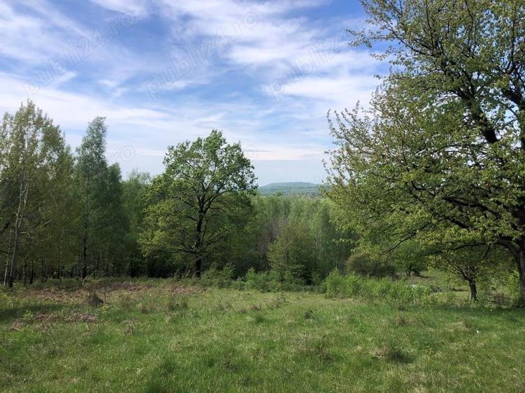 Teren Zona Turistica Transalpina - Pestera Muierilor 9.746 mp - 8