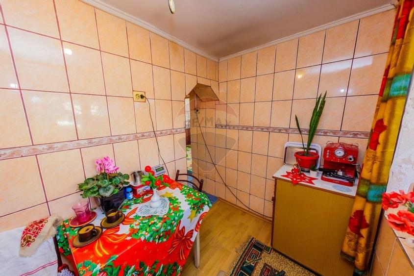 DE VANZARE Oportunitate rară proprietate cu 2 case zona Ulmeni - 12