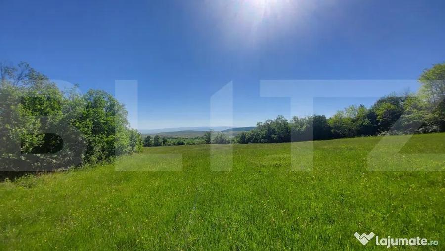 Investi?ie 3,6 ha Glamping, Pensiune sau Centru Ecvestr - 1