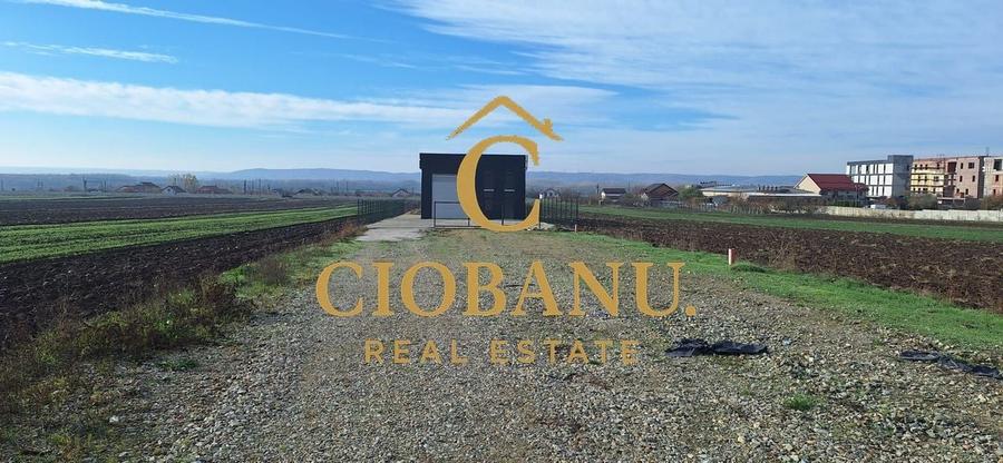 Hala de vanzare in Racari de Jos - 18