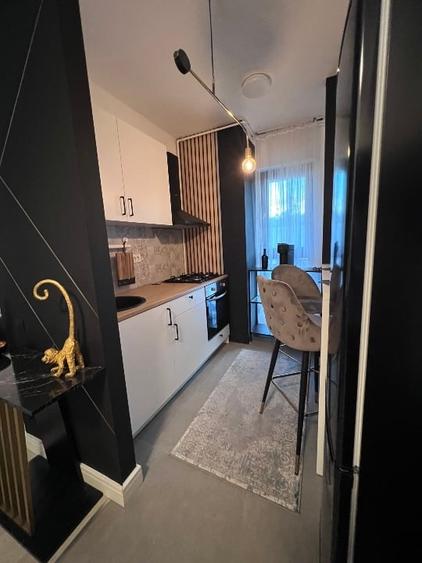 Studio dublu Aviatiei 10 min metrou Aurel Valicu , Promenada Mall, Herastrau - 9