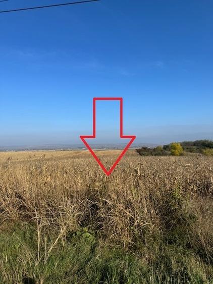 Teren agricol intravilan de 6668 mp, în Bogdan Vodă