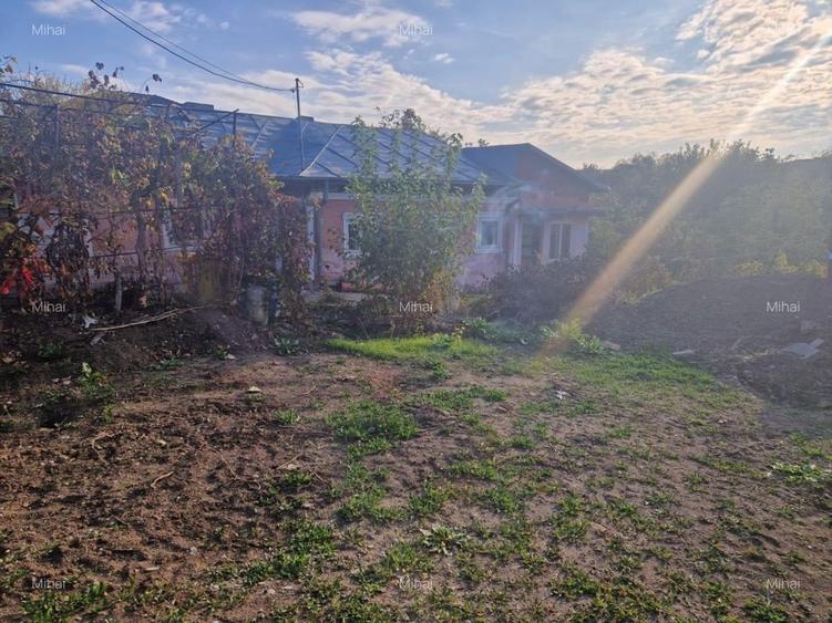 Teren Construcții intravilan de 1600 mp, în Voluntari
