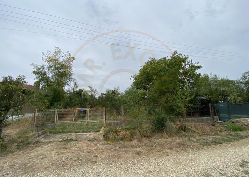 Teren 3000mp intravilan in Mavrodolu, AG - 5