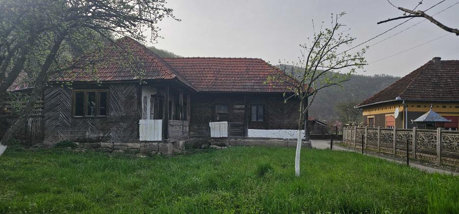 Vand casa + 1 ha teren arabil - 7