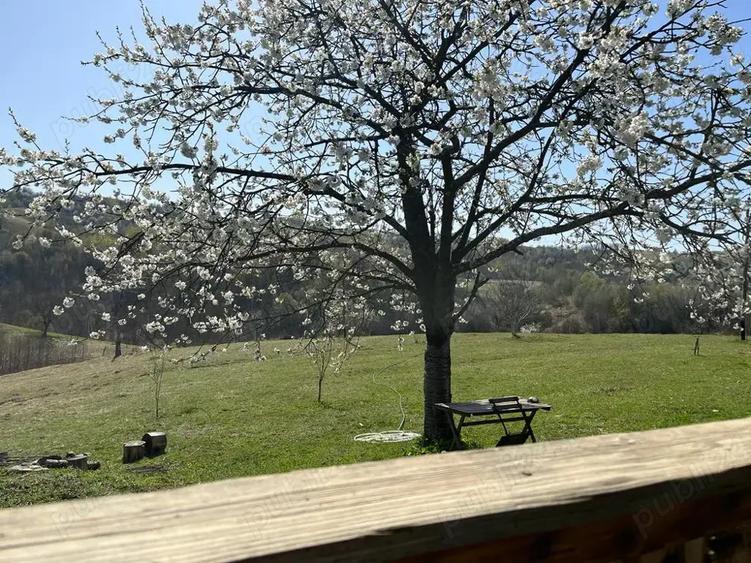 Investi?ie in natura > 2 case restaurate cu poten?ial de inchiriere si teren de 20.000 mp - 6