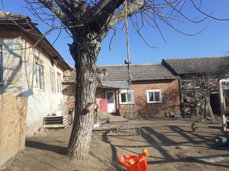 Casa de vanzare OSTROVENI URGENT - 4