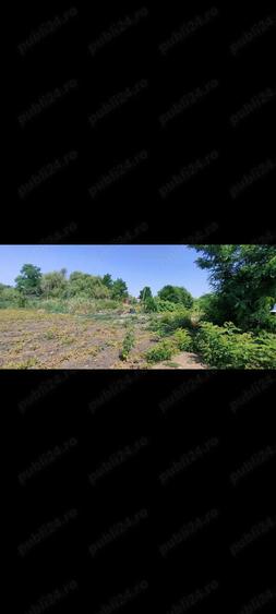 Teren intravilan cur?i construc?ii 2800 mp- Lovrin-Centru de vanzare - 15