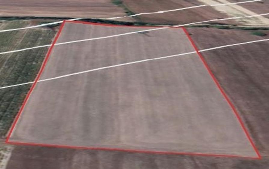 Teren agricol intravilan de 4500 mp, în Sud