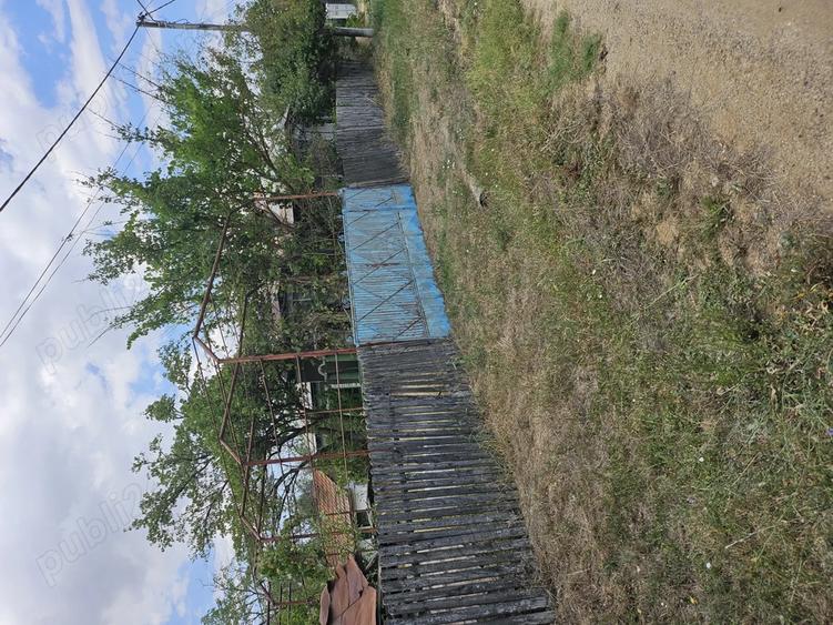 Gospodarie cu 2 case Comuna Trivale Mosteni, sat , la 30 km de Alexandria, jude?ul Teleorman - 5