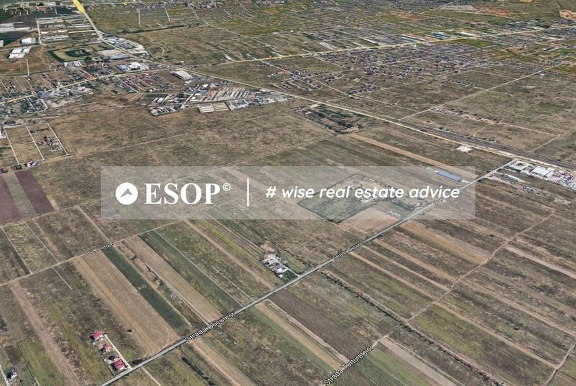 Teren Industrial, 18.000mp, Magurele, Str. Bucuresti-ID 15464 - 4