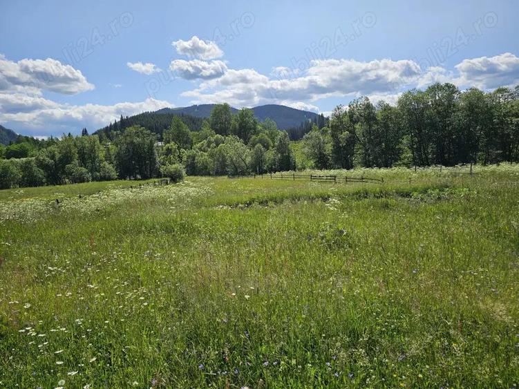 De vanzare Teren intravilan cu casa si anexe in Bucovina Moldova Sulita - 1