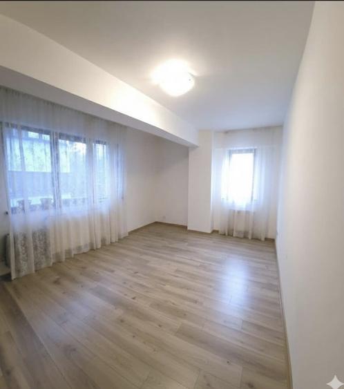 Brancusi Drumul Taberei - 8